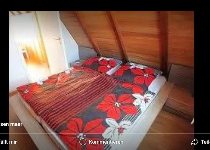 Stamer Am Grossen Feriehus *